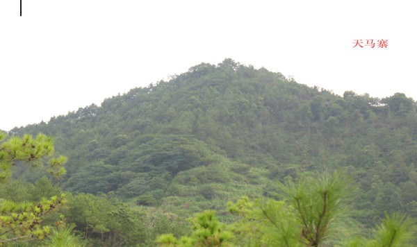 天马寨.png